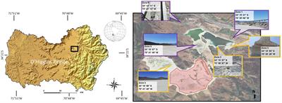 Co-occurrence Interaction Networks of Extremophile Species Living in a Copper Mining Tailing